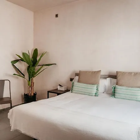 게스트하우스 Astuto Boutique Jerez - Adults Only 4*